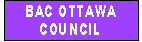 Diocesan Council